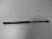 Dmpfer, Motorlagerung Gasdruckdmpfer<br>VW TOURAN (1T1, 1T2) 1.9 TDI