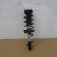 Federbein links vorn Stodmpfer<br>FORD FIESTA VI  CB1, CCN 1.25