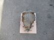 Differential Differenzial (hinten) Hinterachsgetriebe<br>MERCEDES-BENZ E-KLASSE T-MODEL (S211) E 280 T CDI