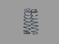 Federsatz Fahrwerksfeder hinten<br>VW TIGUAN (5N_) 1.4 TSI